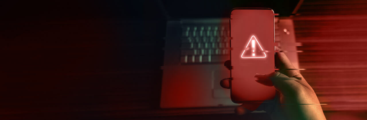 Clipping Pegasus' Wings: How to Protect Yourself from Cyberattacks
